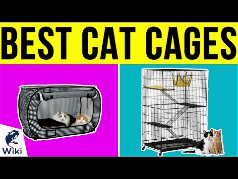 10 Best Cat Cages 2019