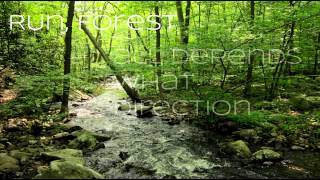 Run Wild- For King &amp; Country Lyrics