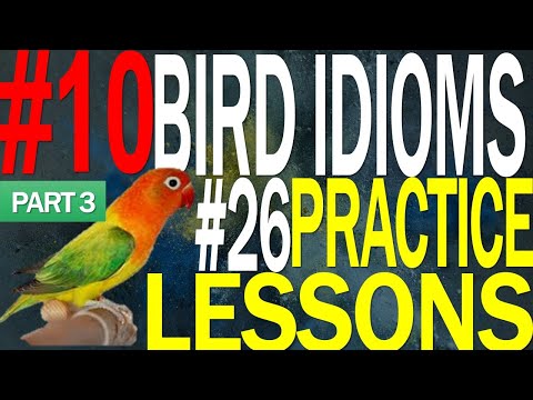 English Idioms on BIRDS with practice lessons to improve English