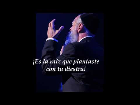 Habeit  -  Mordechai Ben David - Subtitulos en Español