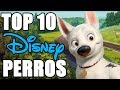 Top 10 Perros De Disney