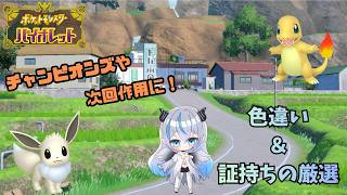 【ポケモンSV】 色違い＆証持ちの厳選をやる！    レアな証が欲しい🦇　初見・初心者歓迎💠 【魔天使ぺトラ】