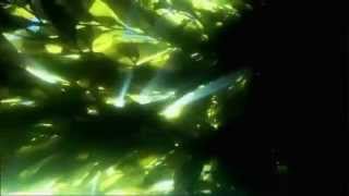 Hawkwind - Green Finned Demon