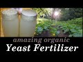 Yeast Fertilizer An Organic Plant Grower