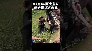 成人男性を吹き飛ばすほどの規格外パワーの巨大魚ピラルク