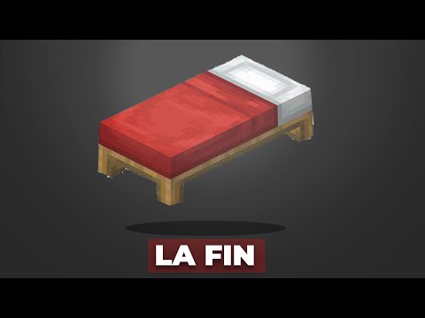 The end of BEDWARS Minecraft in France...