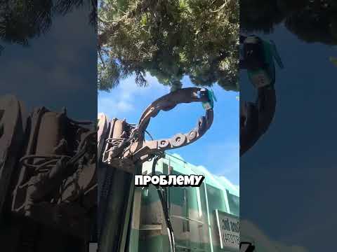 Проверил водителя мусоровоза!