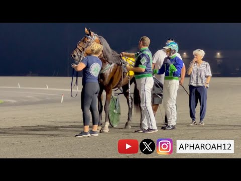 Eliminations take place for the $625,000 2023 William Wellwood Memorial Stakes