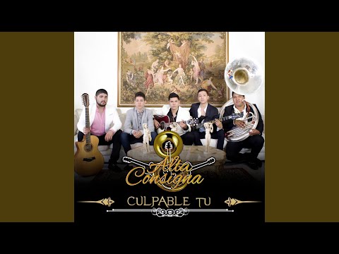 Mi Reemplazo video