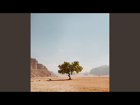 Show Me Your Ways (Live)