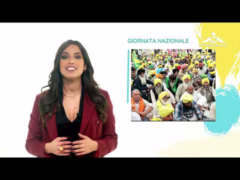 The Almanac December 23, 2025