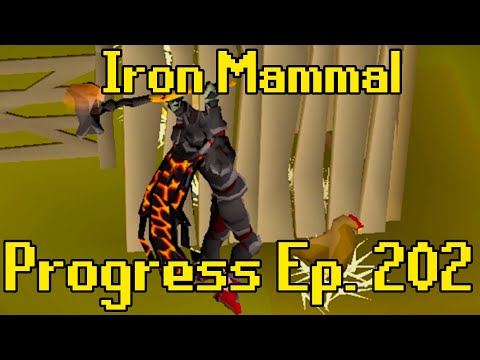 The New Best Weapon in OSRS | Iron Mammal Progress 202
