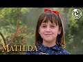 Matilda Matilda Goes To School For The First Time CineClips