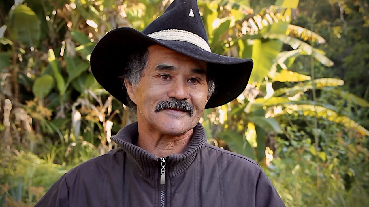 UM DIA AINDA FAÇO UMA CASA NO MEIO DO MATO, PRA VIVER EU MAIS MEUS CACHORROS E MEU GATO