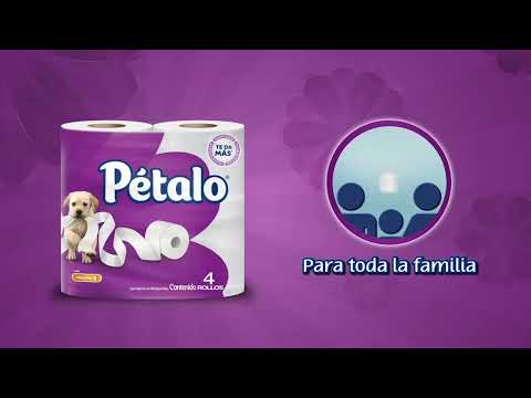 thumbnail video image 2 of Papel higiénico Pétalo 4 rollos de 310 Hojas dobles c/u, 2 of 6