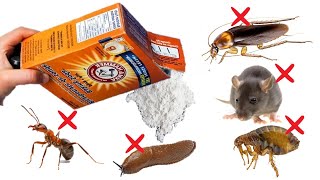 How To Use Baking Soda to Kill Pests - COCKROACHES, BEDBUGS, ANTS, MICE, Etc