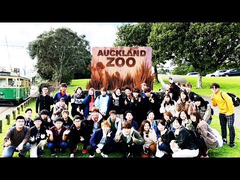 海外留学への挑戦 | 2019海外フレッシュ体験プログラム | 岐阜聖徳学園大学