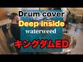 キングダムED Deep Inside Waterweed 祝アルバム発売 ツアー決定