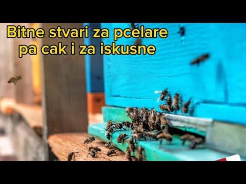 Bitni savjeti za pcelare pa cak i za iskusne #pcele #pcelarstvo