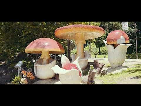 La Esperanza, INTIBUCÁ Cinematic Video