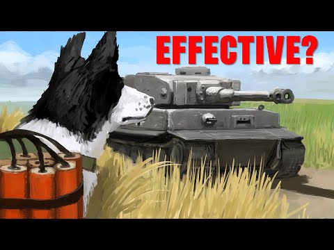 Effectiveness of Soviet Anti-Tank Dogs