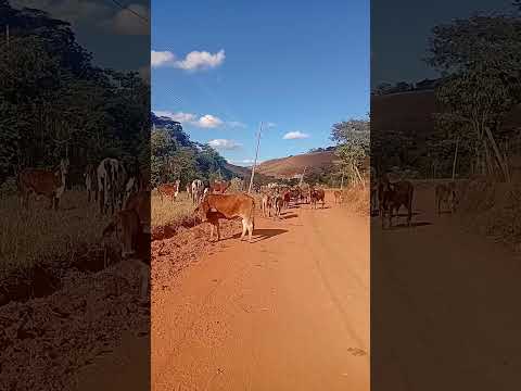 # Pedra do Anta MG