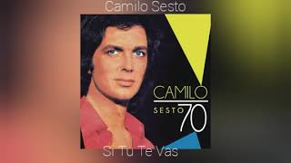 Camilo Sesto - Si Tu Te Vas (Audio)