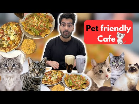 Exploring Mumbai's Most Purr-fect Pocket Friendly Cat Cafe😻 || Kit Cat Cafe, Versova