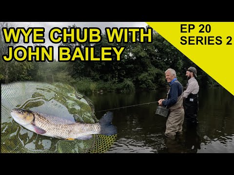 Chub with John Bailey :Species Hunt (EPISODE 40)