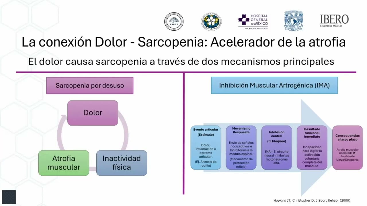 Dolor, dismovilidad y sarcopenia en el campo de la Rehabilitación