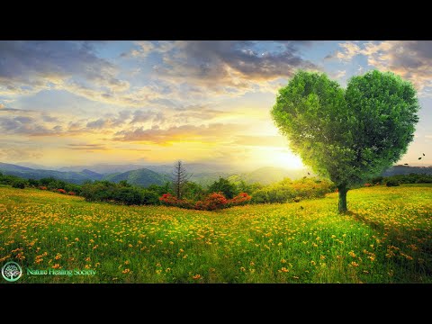 THE BEST GOOD MORNING MUSIC ➤ HAPPY Fresh Energy 528Hz
