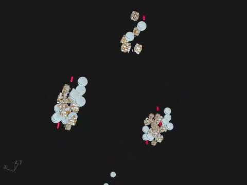 Fall 2024 | Asel Sude Aydın | Entwined (wonder)Lands