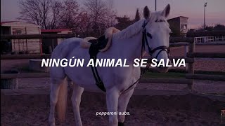 Caballo Homosexual de las Montañas - Letra || Karil