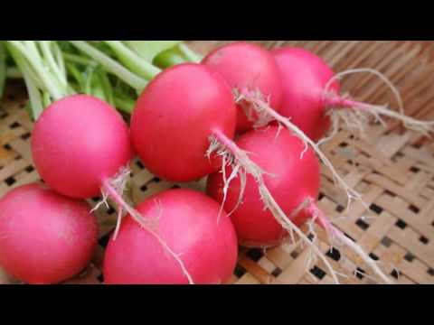 13 Amazing Health Benefits of Radish