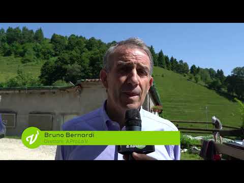 Appuntamenti 2023 Morlacco Bruno Bernardi