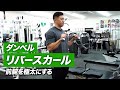 【初心者】ダンベル・リバースカールのやり方 | 極太の前腕をつくる腕トレ種目【ビーレジェンド プロテイン】