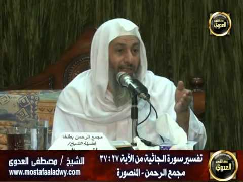  تفسير سورة الجاثية (4) من الآية السابعة والعشرين إلى نهاية السورة 