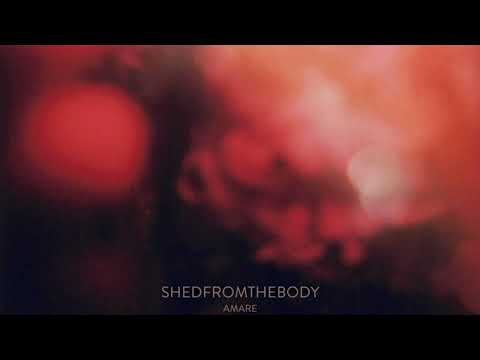 "Air" - Shedfromthebody