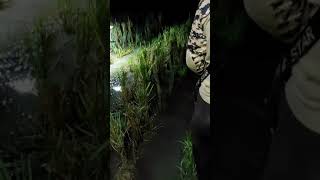 Download lagu ngobor burung sawah mp3 Download lagu ngobor burung sawah mp3