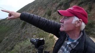 Photography Tips- Finding the right natural light