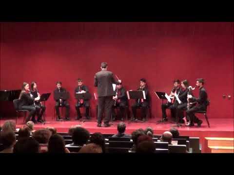 Sibelius. Carminalia.