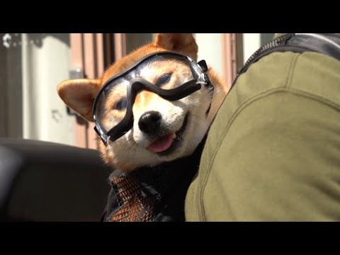 [M/V] CHRISTIAN RAY - 125cc (feat. yena)