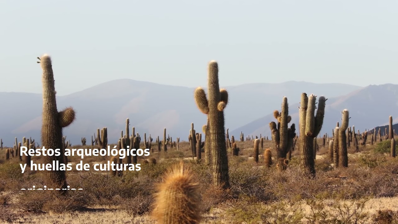 youtube video id=eqNLnejfCQI