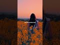 Edison Lighthouse - Love Grows (Where My Rosemary Goes) (Lyrics) #lyrics #music #song #shorts #edit