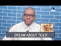 DREAM ABOUT TIGER I Evangelist Joshua Dream Dictionary I