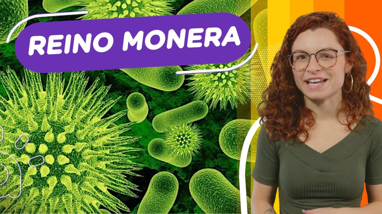 Reino Monera | Archea, Bactéria e Diversidade!