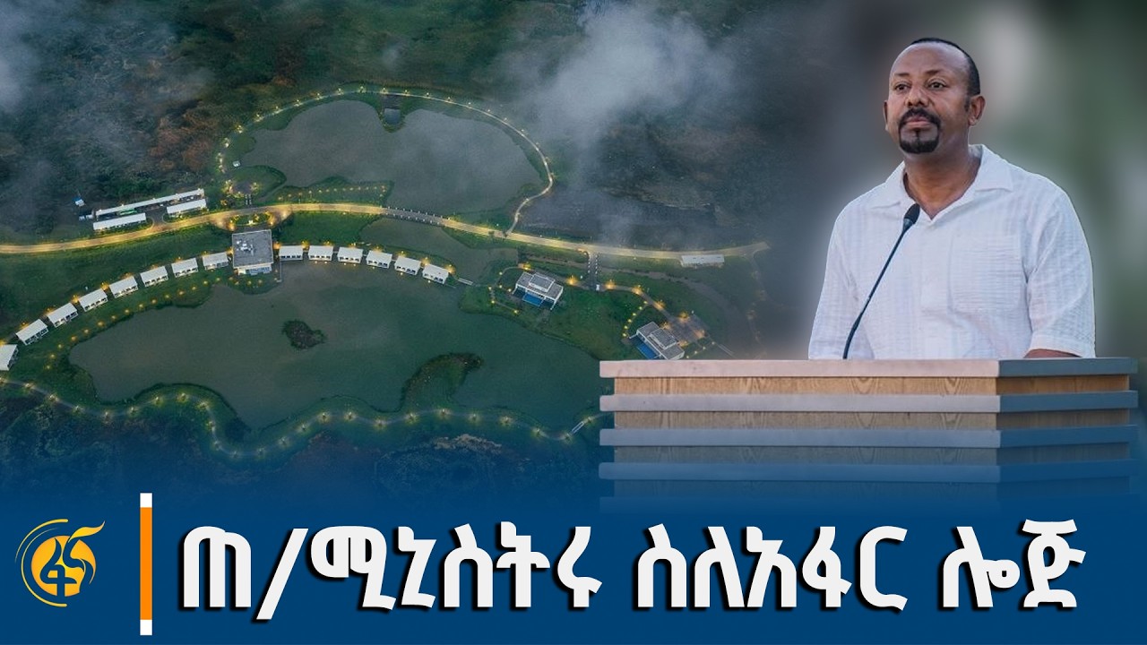 ከሉሲ እስከ ኒዒን ሌ ፓልም ሎጂ