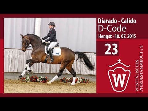 23 D-Code  Hengst v. Diarado - Calido