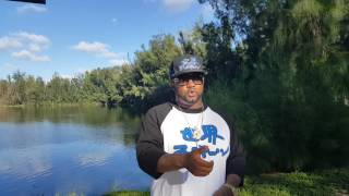 Nino brown - The best revenge is to improve yourself