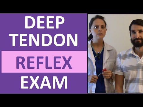 image-What causes deep tendon reflexes?